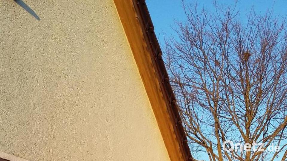 Trachtenkapelle Waldthurn Bild: fla