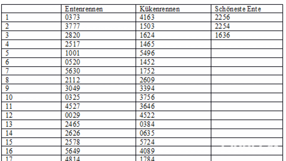 Das sind die die Startnummern der ersten dreißig Plätze beim Enten- und beim Kükenrennen. In der linken Spalte stehen die Startnummern der drei schönsten Enten. Bild: tk