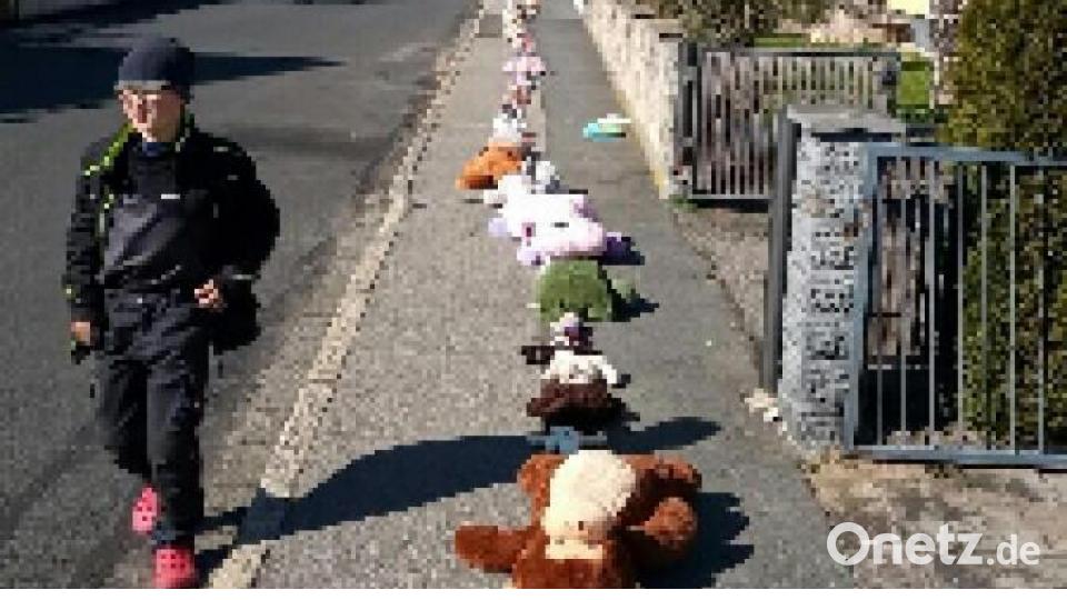 Die bisherigen Spitzenreiter sind Bastian und seine Cousine Pia. Sie bringen es auf über 41 Meter Kuscheltiere. Bild: exb/Schule Wernberg-Köbilitz