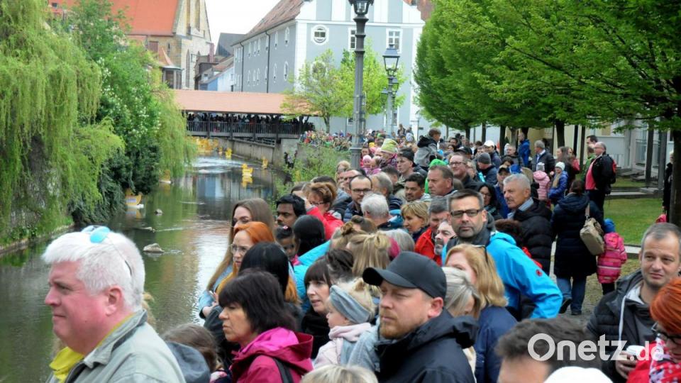 Rund 6000 Plastikenten sind am Sonntag in der Amberger Altstadt um die Wette geschwommen. Kurz vor Beginn rissen die Wolken am Himmel auf. Bild: Stephan Huber