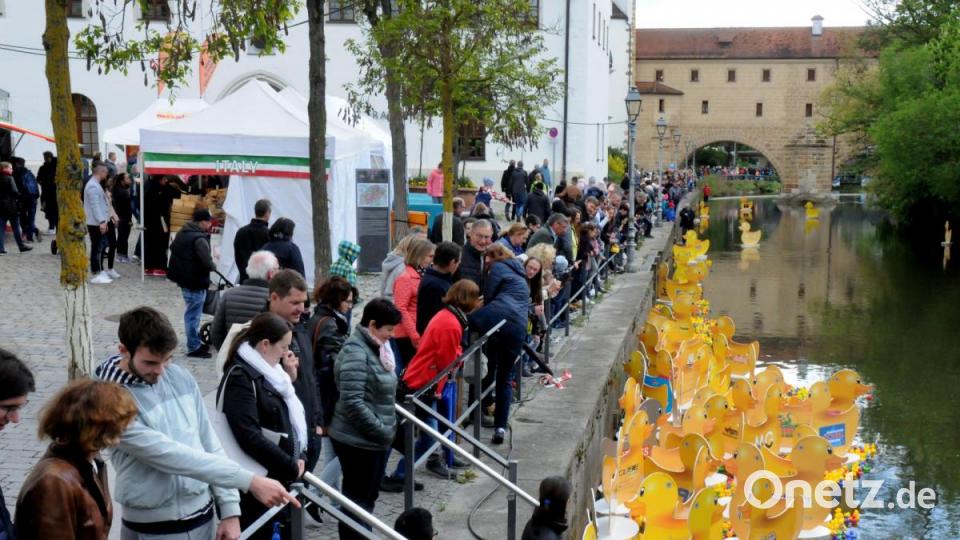 Rund 6000 Plastikenten sind am Sonntag in der Amberger Altstadt um die Wette geschwommen. Kurz vor Beginn rissen die Wolken am Himmel auf. Bild: Stephan Huber
