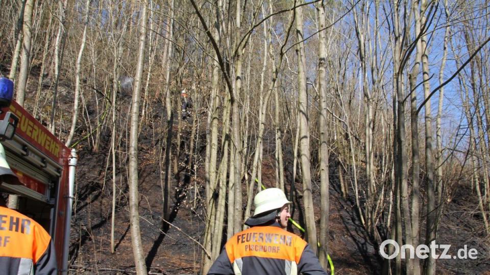 Das steile Gelände des &quot;Baumer-Berg&quot; stellte die Feuerwehren vor erhebliche Herausforderungen. Bild: frd