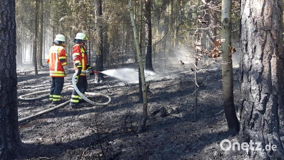 Einsatz im Unterholz: Auf einer Fläche von 30 000 Quadratmeter hat sich am Montag der Wald am &quot;Baumer-Berg&quot; bei Pertolzhofen entzündet. Knapp 130 Einsatzkräfte gingen gegen das Feuer vor. Bild: bgl
