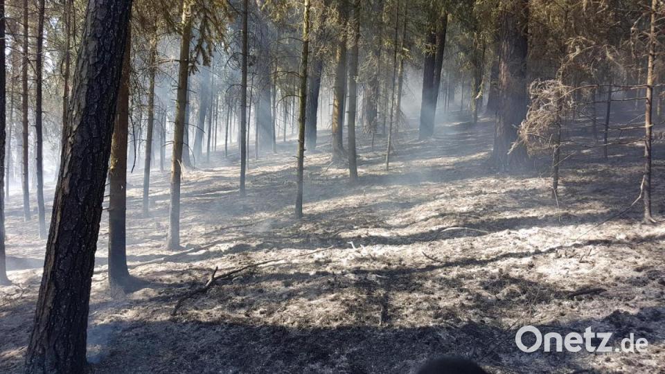 Verbrannte Erde blieb zurück, nachdem die Flammen gelöscht waren. Nach dem Einsatz mussten die Wehren noch einige Stunden Brandwache halten und noch kleinere Schwelbrände ersticken. Bild: bgl
