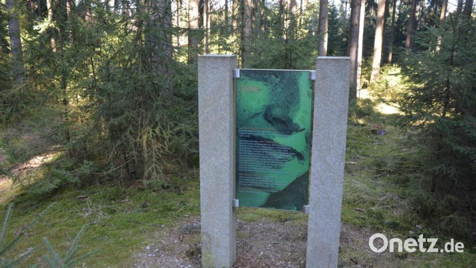 Der Besinnungspunkt „Nase“. Bild: jr