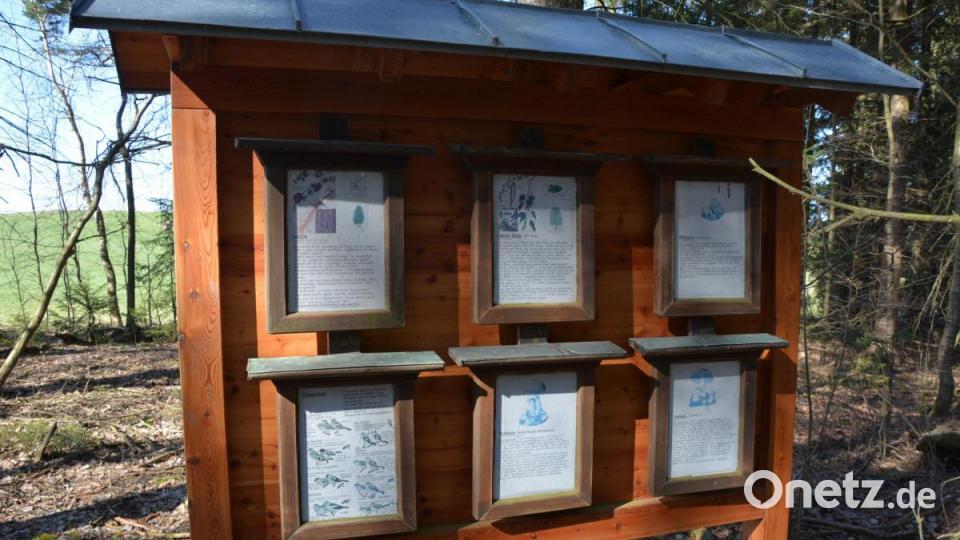 Ein Infopunkt des Forstbetriebs Waldsassen zum Thema Flora und Fauna. Bild: jr