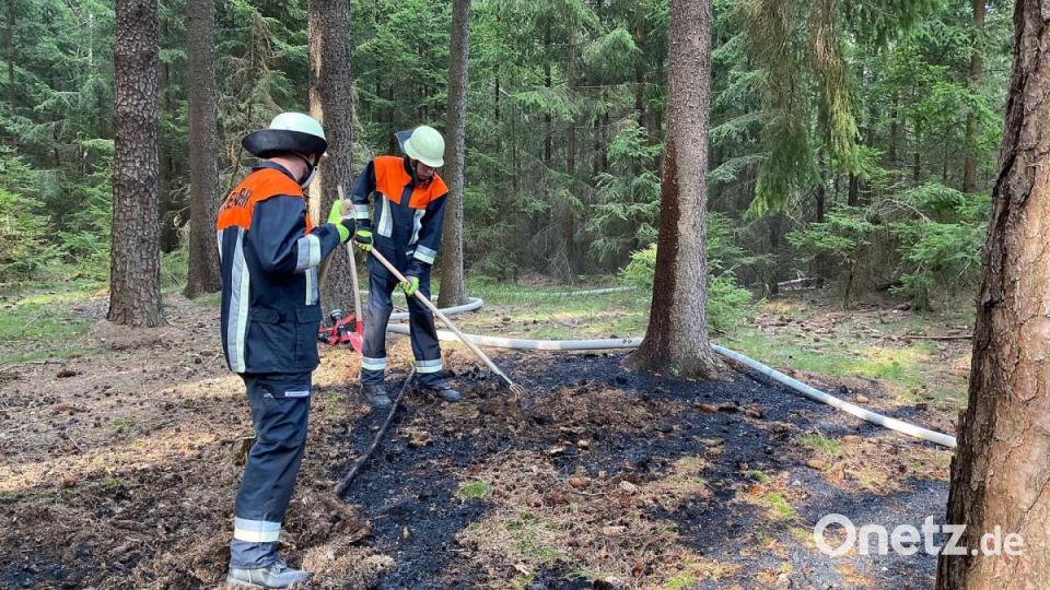 Waldbrand bei Friedenfels Bild: nza