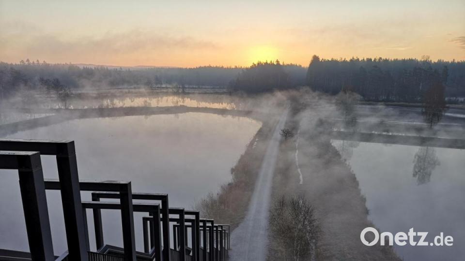 Leichter Nebel schmiegt sich am frühen Morgen über Wege und Teiche. Bild: lnz