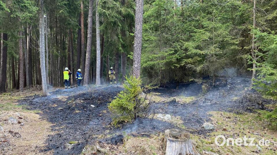 Waldbrand bei Friedenfels Bild: nza
