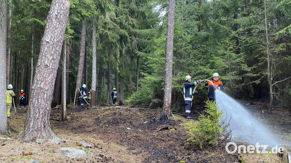 Waldbrand bei Friedenfels Bild: nza