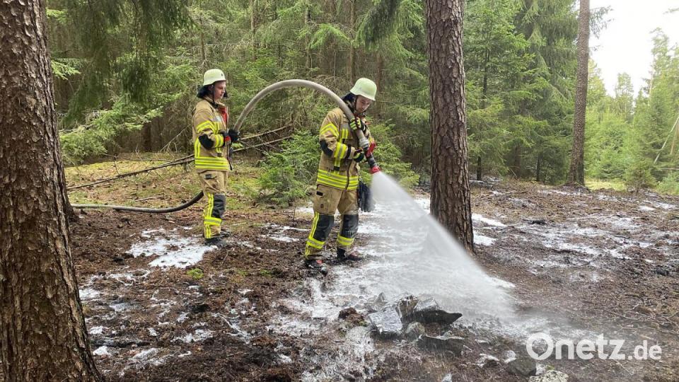 Waldbrand bei Friedenfels Bild: nza