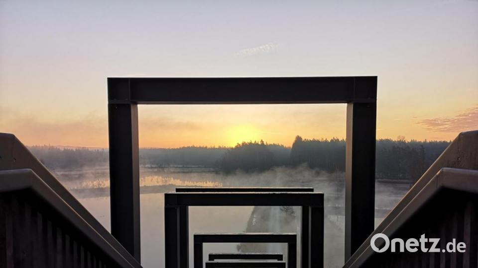 Blick auf den Sonnenaufgang von der Himmelsleiter in der Tirschenreuther Teichpfanne. Bild: lnz