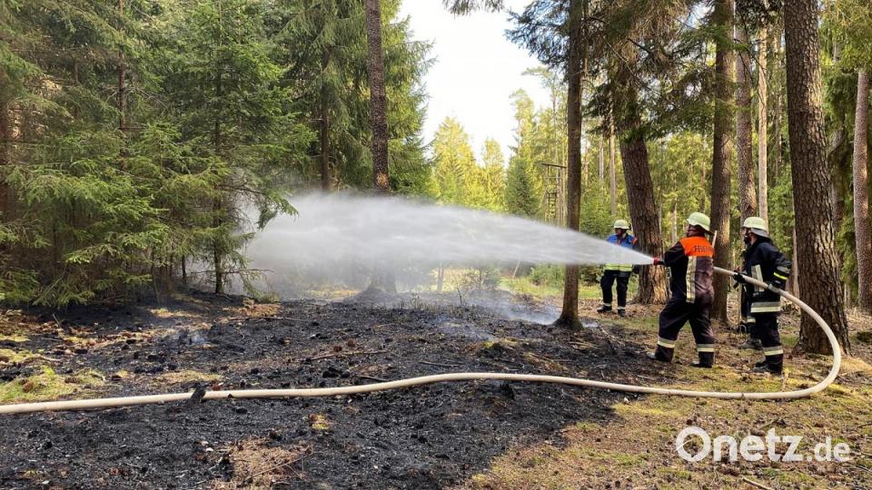 Waldbrand bei Friedenfels Bild: nza