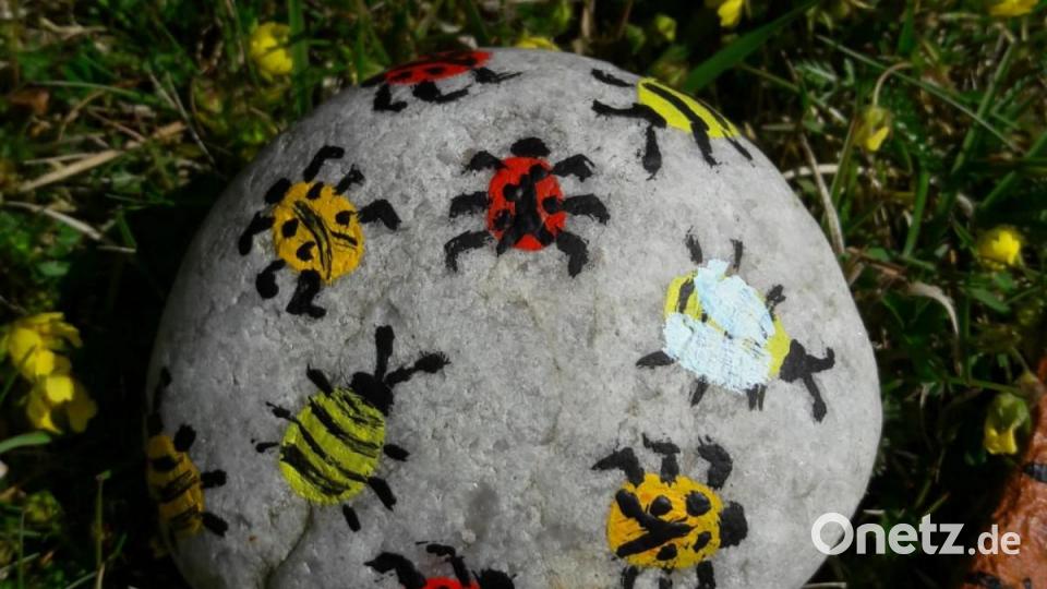 Hier krabbelt es gewaltig. Bild: bl