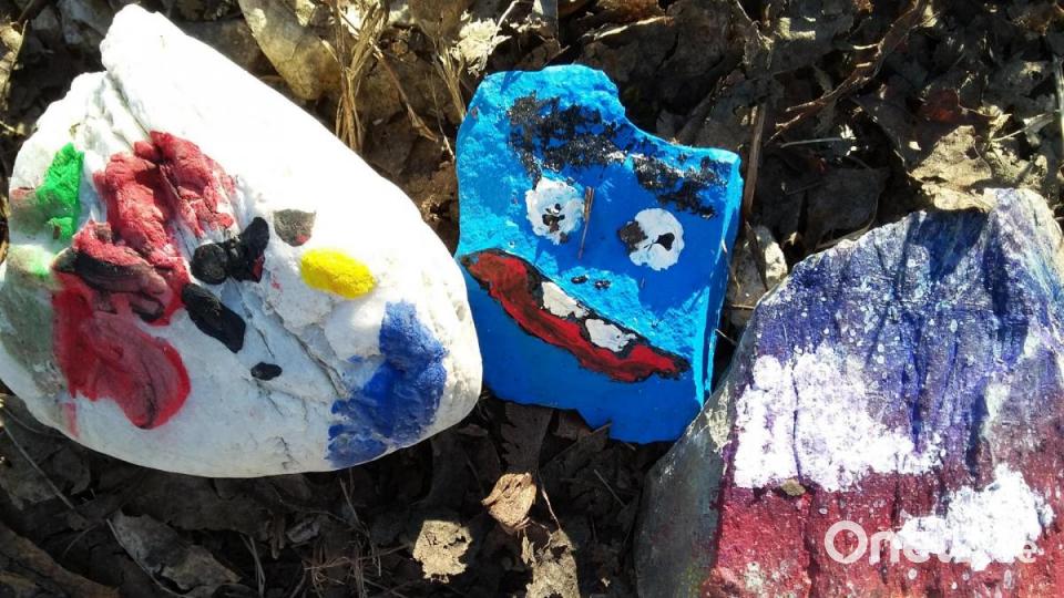 Ein witziges Gesicht guckt da aus dem verwelkten Laub. Bild: bl