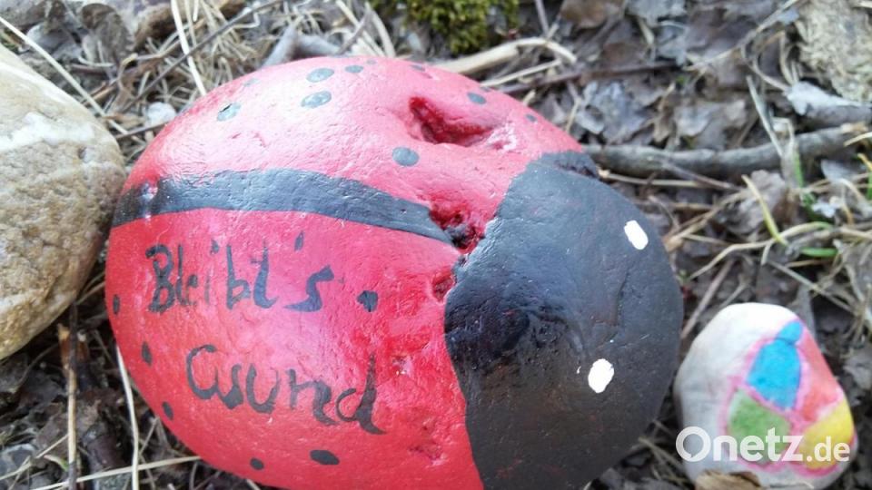 Mit guten Wünschen wartet dieser Marienkäfer auf. Bild: bl