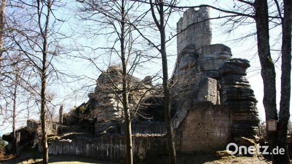 Wahrzeichen der Gesellschaft &quot;Steinwaldia&quot; ist die Burgruine Weißenstein. Bild: wro