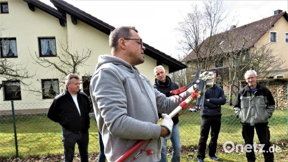 Mit einer verlängerten Gartenschere sind Hobbygärtner für ihre Bäume gut bedient. Harald Schlöger zeigt die Funktion eines solchen Geräts. (das Bild entstand vor der Corona-Pandemie) Bild: ubb