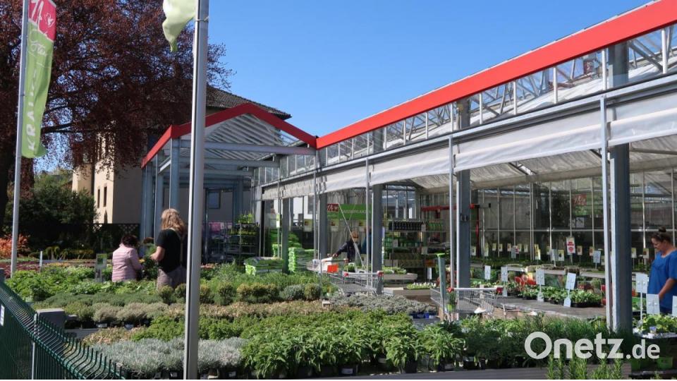 Run auf die Gärtnerei Krauß an der Regensburger Straße. Bild: Kunz