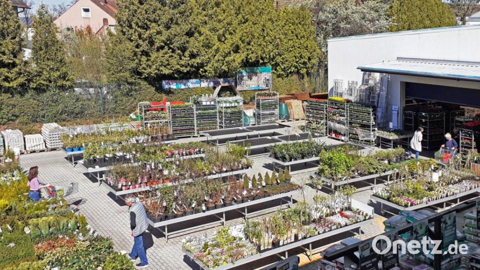 Eher normaler Betrieb herrschte in der Gartenabteilung. Bild: exb