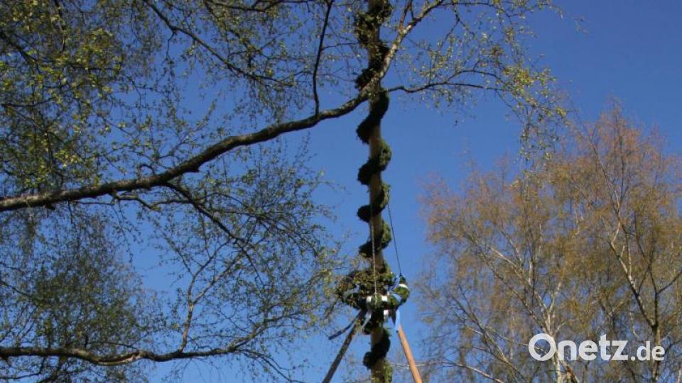 In Wendern halten alle zusammen, wenn der Maibaum aufgestellt wird. Bild: kro