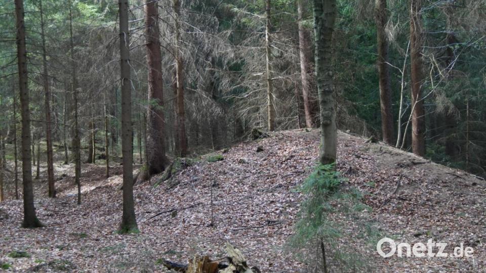 Die zahlreichen Schürfgruben und Abraumhalden sind Zeugnisse aus längst vergangener Goldgräberzeit. Bild: weu
