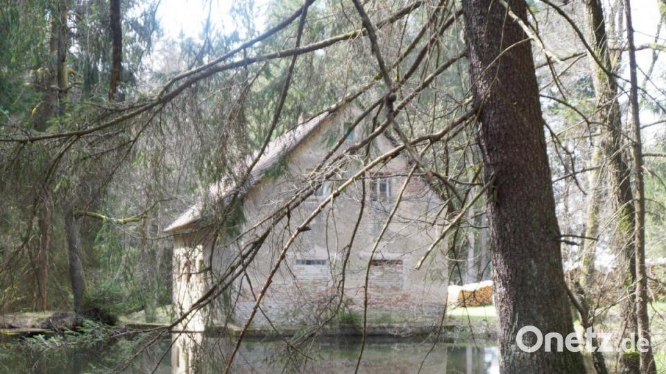Beim Rundgang kommt man auch zu der romantisch am Weiher gelegenen „Greiner-Schleife“, eine der vielen einstigen Glasschleifen der vergangenen Zeiten im Oberpfälzer Wald. Bild: weu