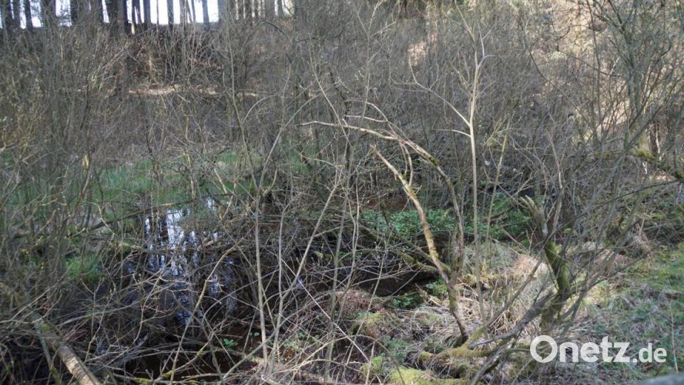 Der Wanderweg führt auch zum sagenumwobenen „Güttingloch“, einem „mystischen Ort&quot; des früheren Goldabbaus. Bild: weu