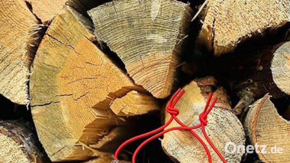 Kreativität in der Coronakrise: Bunte und kreative Mund-Nasen-Masken unserer Leser. Bild: Elisabeth Steger
