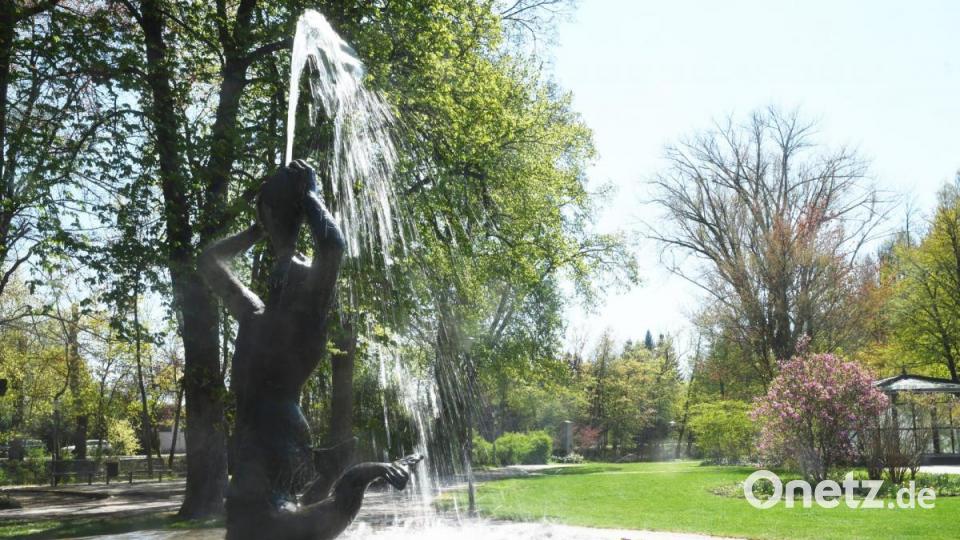Frühling in Weiden Bild: Gabi Schönberger