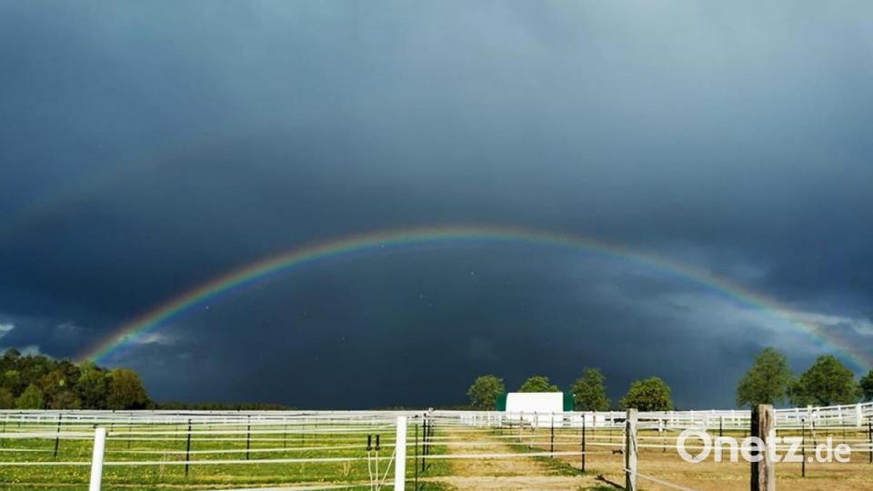 Hohenzant Bild: Ann Kathrin