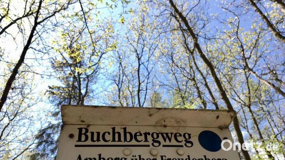 Der &quot;Blaupunkt&quot; führt von Amberg aus auf den Buchberg. Bild: gri