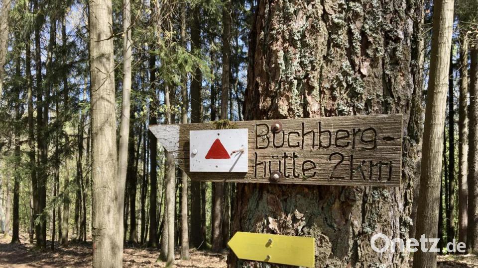 Rund zwei Kilometer sind es vom Gipfel noch bis zur Buchberghütte. Bild: gri