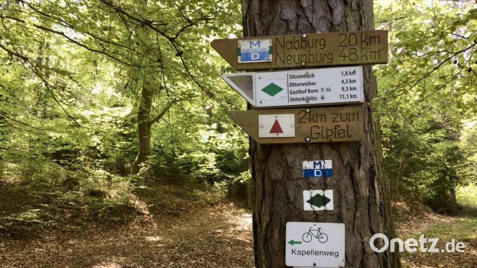 Buchbergwald, Schilderwald. Bild: gri