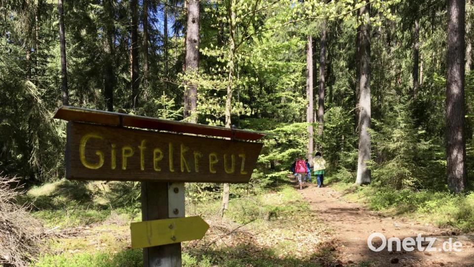 Immer dem gelben Pfeil nach: Zum Gipfel des Buchbergs ist es nicht mehr weit. Bild: gri