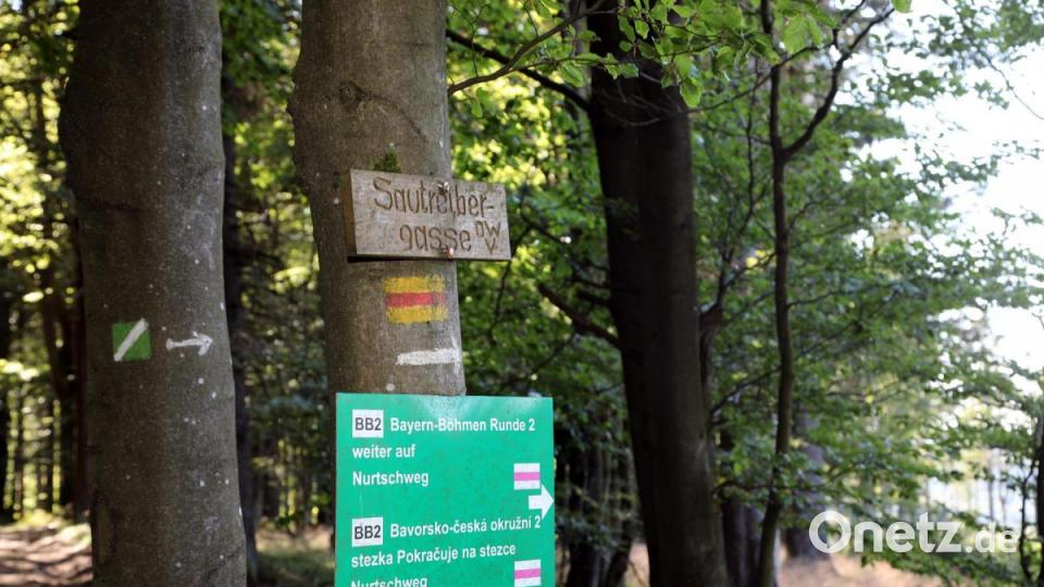 Viele Wege führen zur und an der Bügellohe vorbei. Die Routen lassen sich beliebig zusammenstellen. Bild: Gerhard Götz