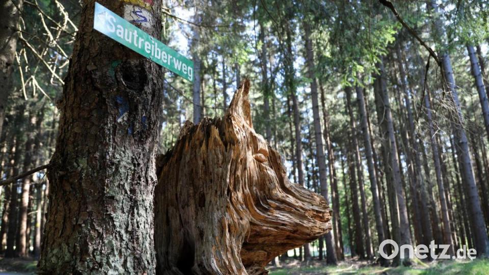 Holzskulpturem des Künstlers Herbert Sturm warten manchmal am Wegesrand auf Wanderer. Bild: Gerhard Götz