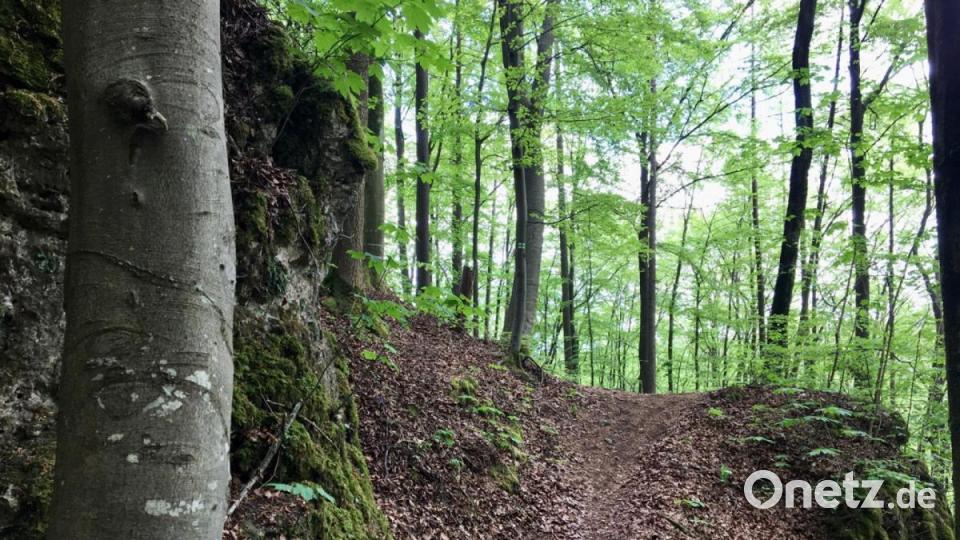 Zum Kalmusfelsen und zum Osterloch: Unterwegs in der "Wanderwelt Illschwang" Bild: gri