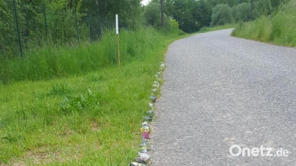 Bisher zieren 93 bunte Steine den Weg im Kohlberger Baugebiet "Im Meister". Bild: exb