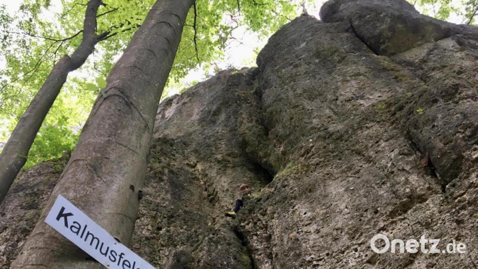 Zum Kalmusfelsen und zum Osterloch: Unterwegs in der "Wanderwelt Illschwang" Bild: gri