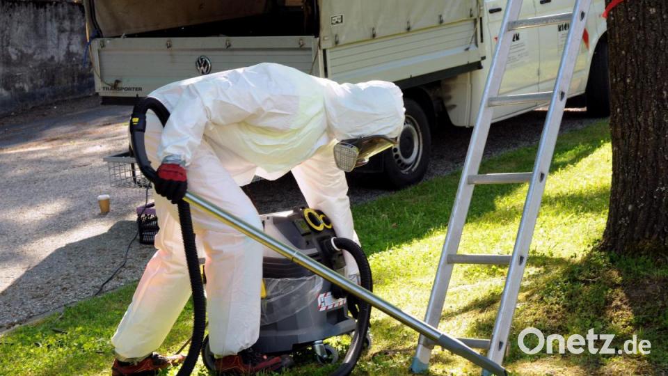 Das Absaugen der Eichenprozessionsspinner ist aufwendig. Würde man damit den ganzen Waldfriedhof bearbeiten wollen, wären die Experten eine Woche lang beschäftigt. Bild: Stephan Huber