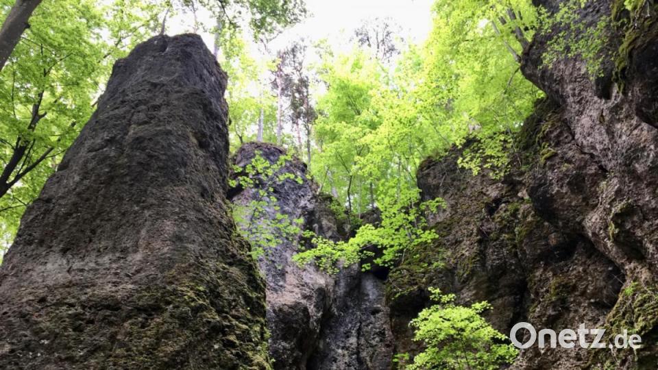 Zum Kalmusfelsen und zum Osterloch: Unterwegs in der "Wanderwelt Illschwang" Bild: gri