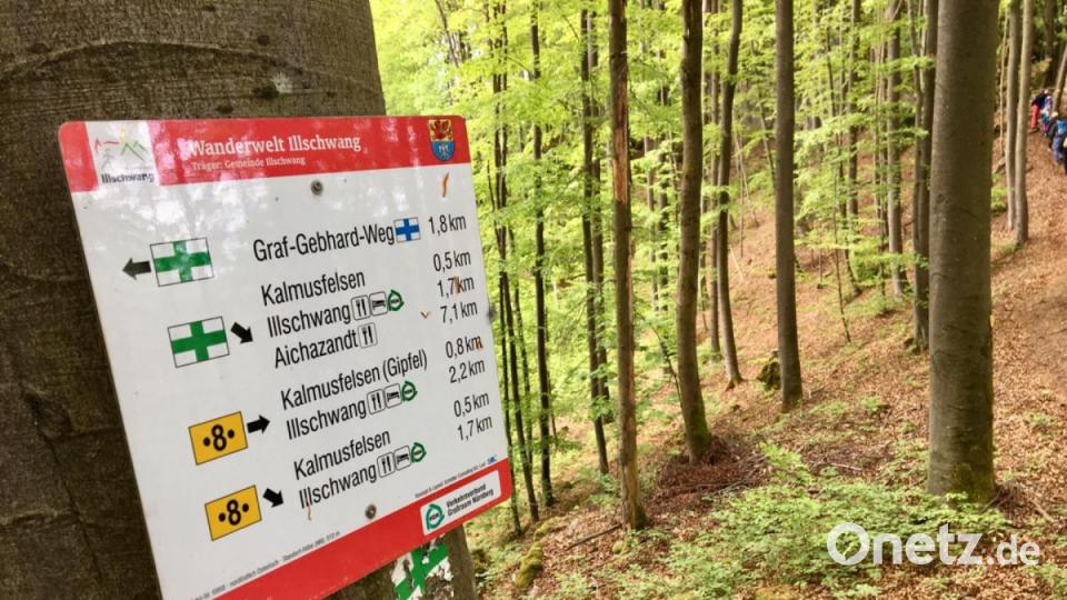 Zum Kalmusfelsen und zum Osterloch: Unterwegs in der "Wanderwelt Illschwang" Bild: gri