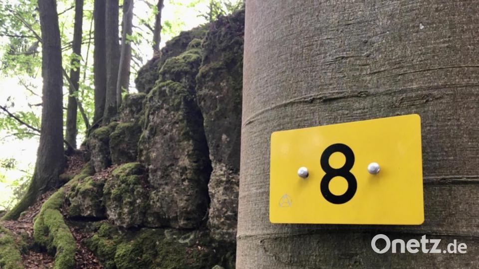 Zum Kalmusfelsen und zum Osterloch: Unterwegs in der "Wanderwelt Illschwang" Bild: gri