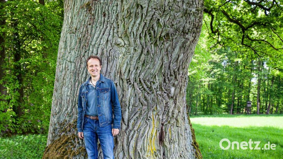 Jürgen Schuller hat aus seinem Faible für alte Bäume ein Buch gemacht Bild: stg