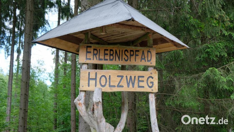 An der B 470 ist gegenüber der Ausfahrt Zettlitz die Einfahrt zum &quot;Erlebnispfad Holzweg&quot; nicht zu übersehen. Bild: do