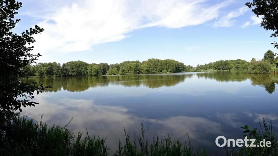 Röthenweiher bei Hirschau. Bild: Robert Stammler
