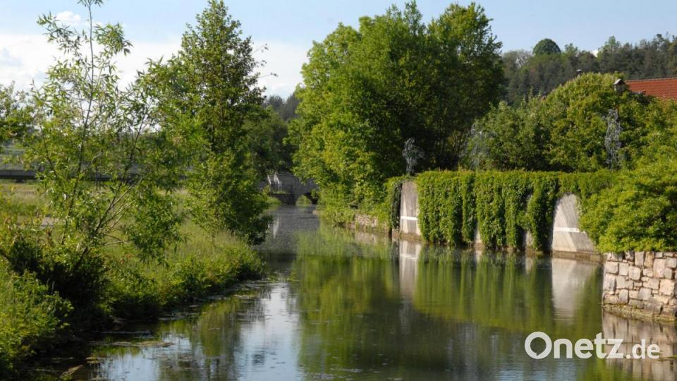 Lebendige Lauterach - zahlreiche teils unbekannte Fische tummeln sich im Wasser. Bild: pop