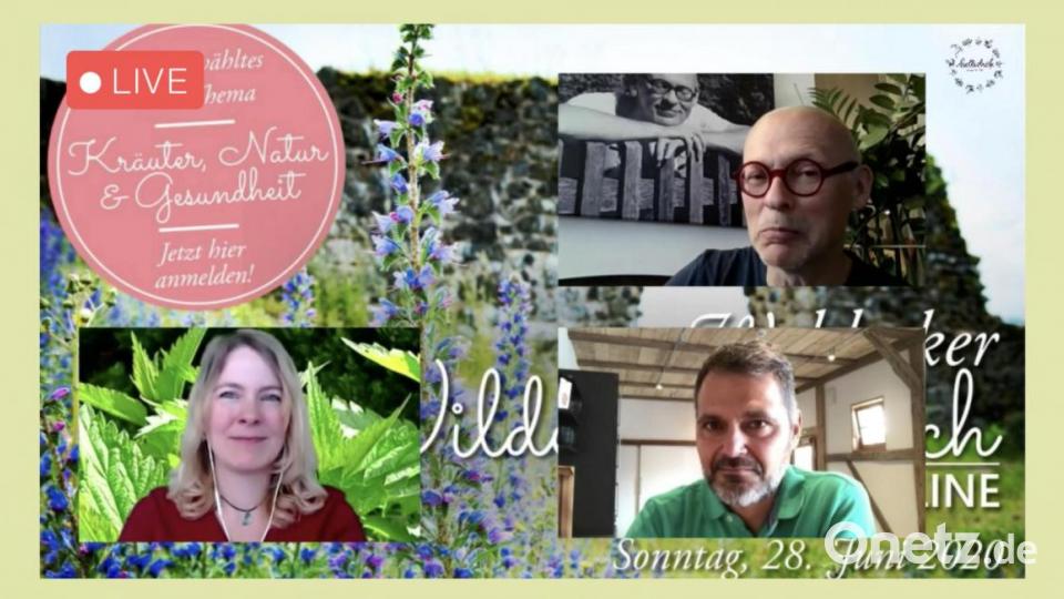 Erster Online-Brunch zu essbaren Wildpflanzen. Bild: exb