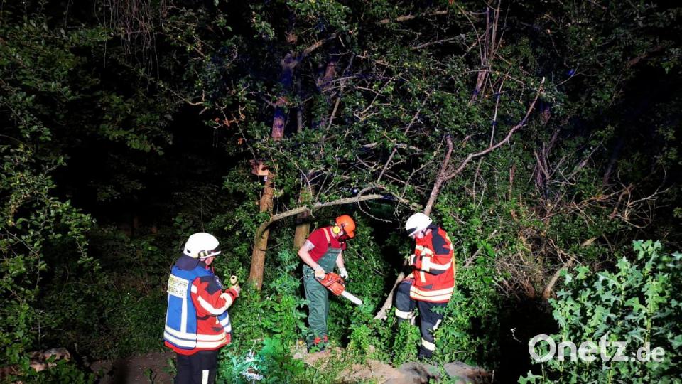 Die Einsatzkräfte sicherten das Fahrzeug gegen Abrutschen. Zur abschließenden Erkundung der Unfallstelle sowie für einen reibungslosen Ablauf der Bergung musste auch die Kettensäge eingesetzt werden. Bild: mde